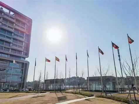 Reflection on Volunt